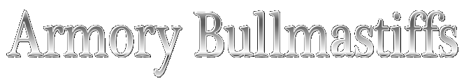 Armory Bullmastiffs